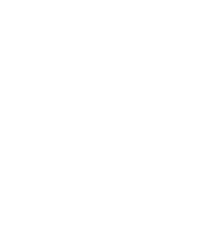 Pellegrini Construction